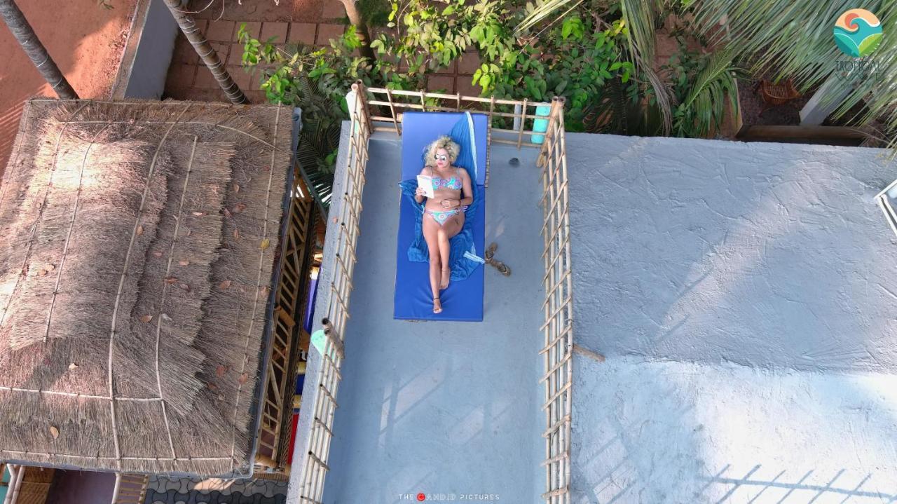 Tropical Wave Hostel Morjim Goa Exteriör bild